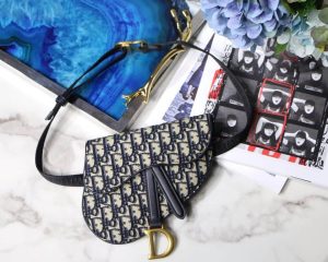 Dior Oblique Saddle belt bag