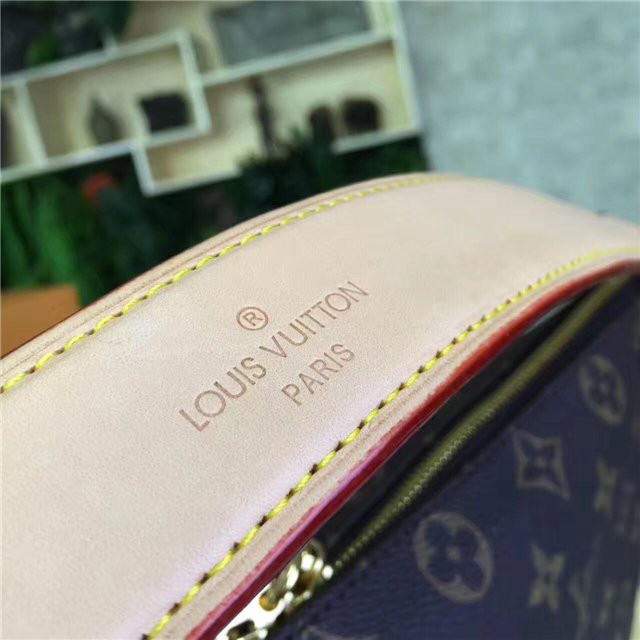 Louis Vuitton Monogram Berri PM