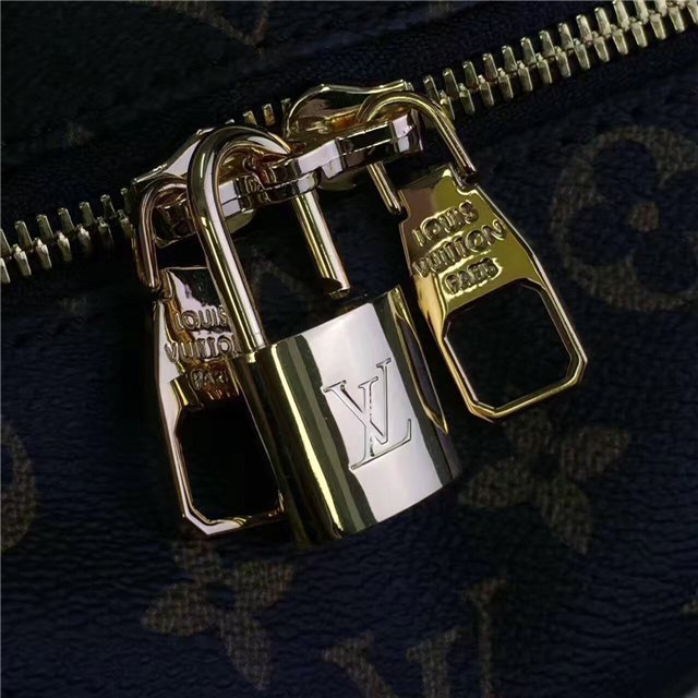 Louis Vuitton Monogram Berri PM