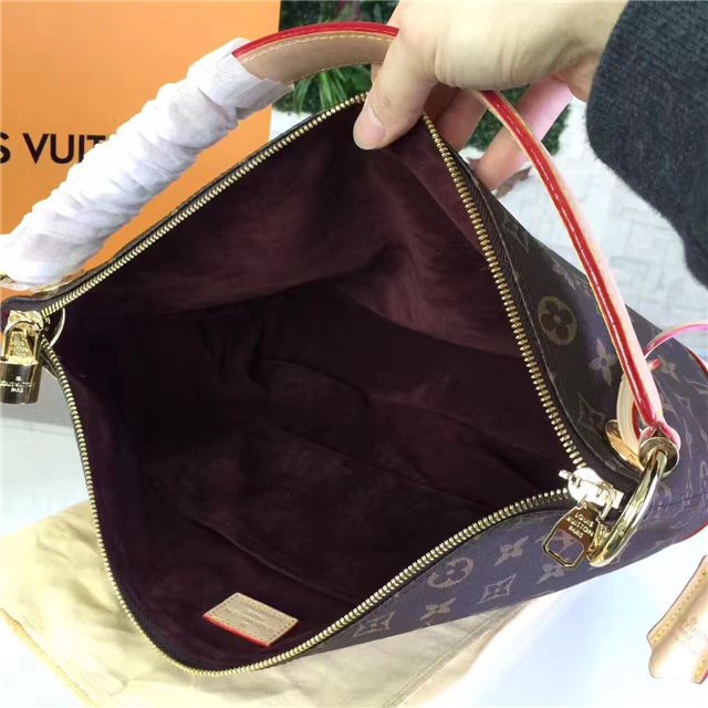 Louis Vuitton Monogram Berri PM