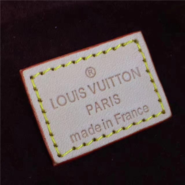 Louis Vuitton Monogram Berri PM