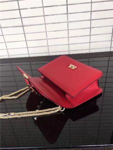 Valentino Garavani (Varied Colors)