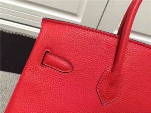 Hermes Birkin 35cm (Varied Colors) Gold H/W