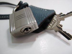 Hermes Birkin 35cm (Varied Colors) Silver H/W