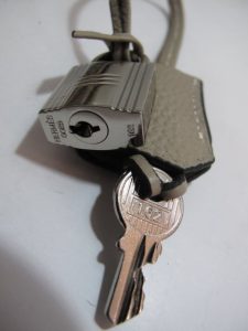 Hermes Birkin 35cm (Varied Colors) Silver H/W