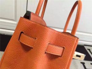 Hermes Birkin 35cm (Varied Colors) Gold H/W