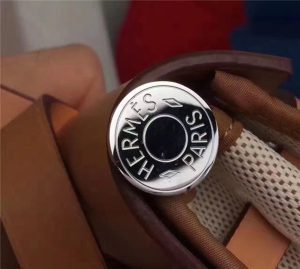 Hermes Herbag 31CM (Varied Color)