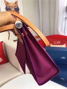 Hermes Herbag 31CM (Varied Color)
