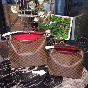 Louis Vuitton Delightful Damier Ebene Canvas MM