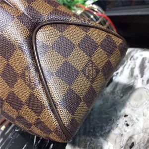 Louis Vuitton Delightful Damier Ebene PM