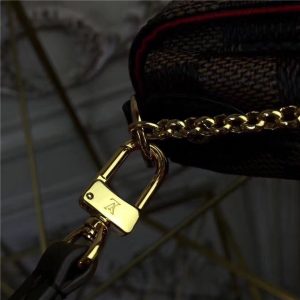 Louis Vuitton Damier Ebene Favorite PM
