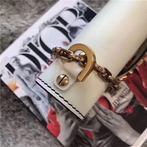 Chrisitan Dior J'ADIOR Flap Bag with Chain (Varied Colors)