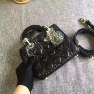 Christian Dior My Lady Dior Customizable Shoulder Strap (Varied Colors)