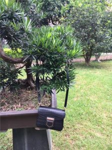 Givenchy Nobile Mini Shoulder Bag (Varied Colors) Croc-effect