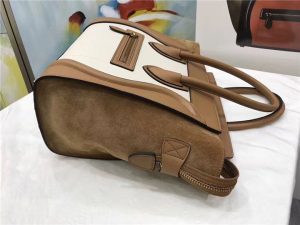Celine Micro Luggage Tote Multicolored (Varied Colors)