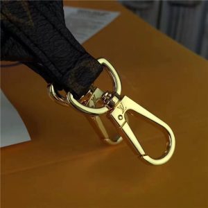 Louis Vuitton Bandouliere Monogram