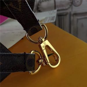 Louis Vuitton Bandouliere Monogram