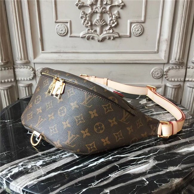 Louis Vuitton Monogram Bumbag
