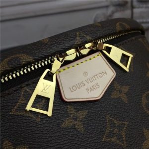 Louis Vuitton Monogram Bumbag
