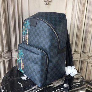 Louis Vuitton Apollo Backpack