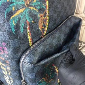 Louis Vuitton Apollo Backpack