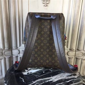 Louis Vuitton Apollo Backpack Monogram