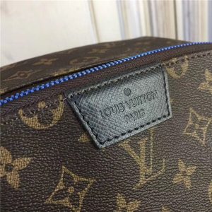 Louis Vuitton Apollo Backpack Monogram