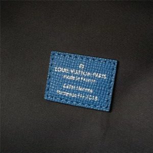 Louis Vuitton Apollo Backpack Taiga Leather