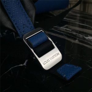 Louis Vuitton Apollo Backpack Taiga Leather