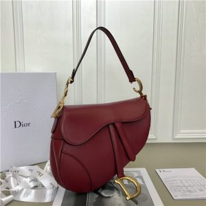 Christian Dior Dior Saddle Bag Calfskin (Varied Colors)