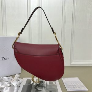Christian Dior Dior Saddle Bag Calfskin (Varied Colors)