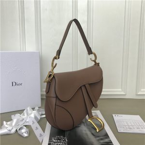 Christian Dior Dior Saddle Bag Calfskin (Varied Colors)