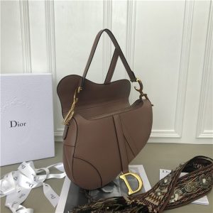 Christian Dior Dior Saddle Bag Calfskin (Varied Colors)