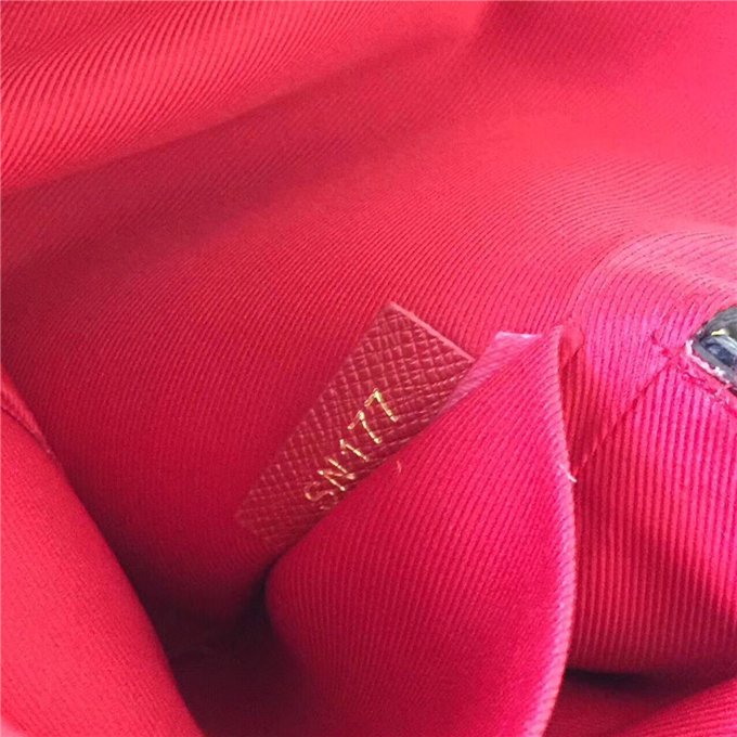 Louis Vuitton Pochette Felicie Damier Ebene Canvas