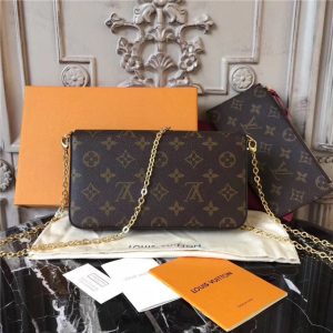 Louis Vuitton Pochette Felicie Monogram Canvas