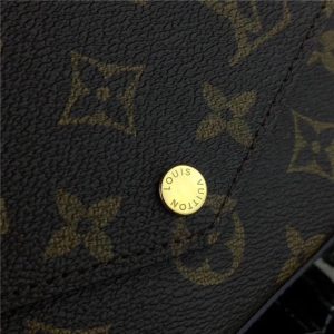 Louis Vuitton Pochette Felicie Monogram Canvas