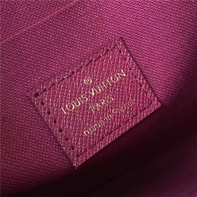 Louis Vuitton Pochette Felicie Monogram Canvas