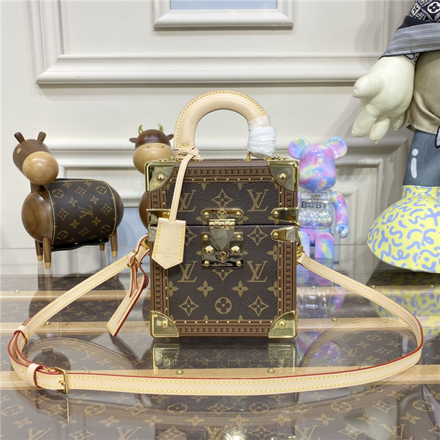 Louis Vuitton Camera Box Monnogram M10079