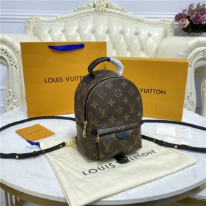 Louis Vuitton Palm Springs Mini M44873