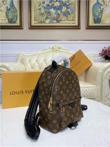 Louis Vuitton Palm Springs PM Backpack
