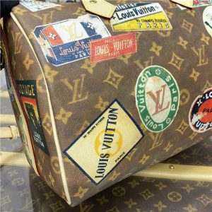 Speedy Bandouliere 30 M47087-6.jpg