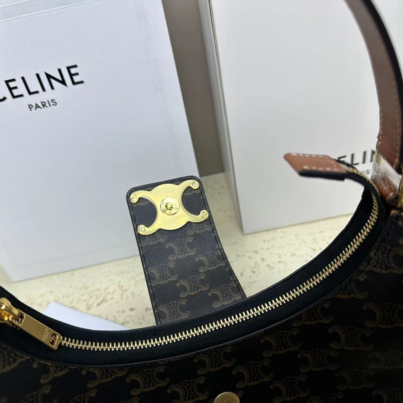 Ava Bag IN Triomphe Canvas and calfskin-6