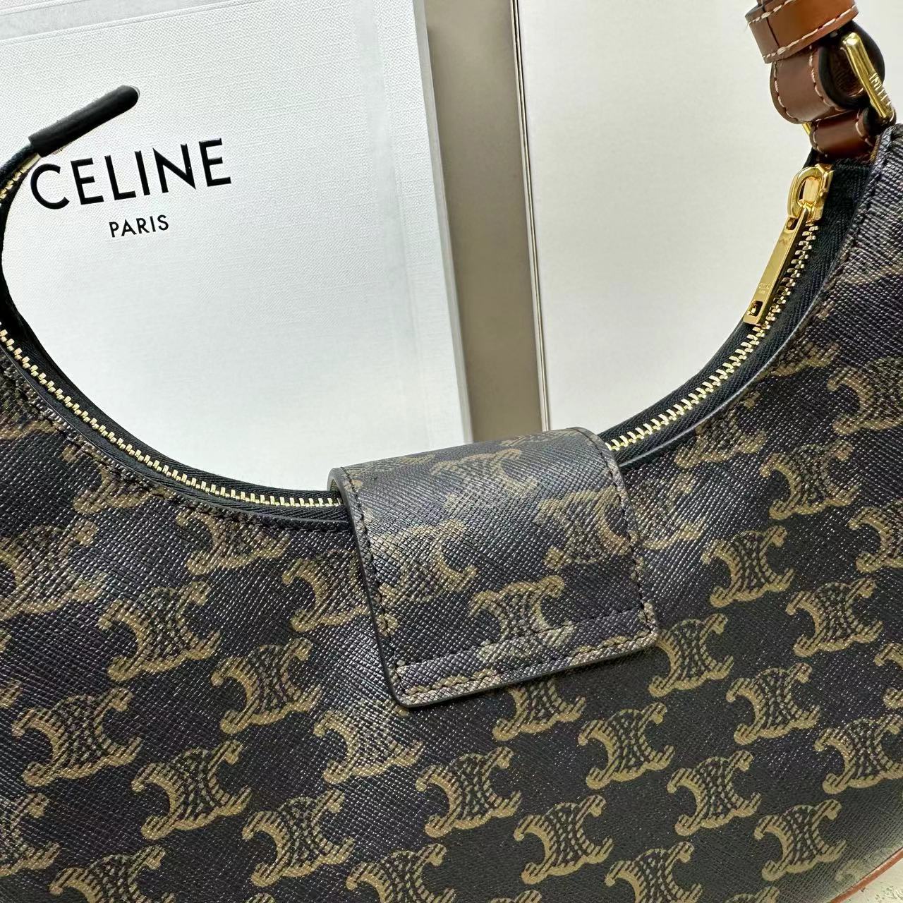 Ava Bag IN Triomphe Canvas and calfskin-7