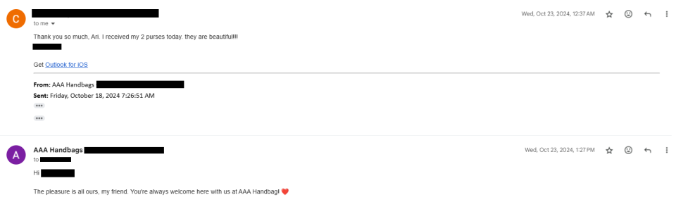 AAA Purse Verified Customer Review 7