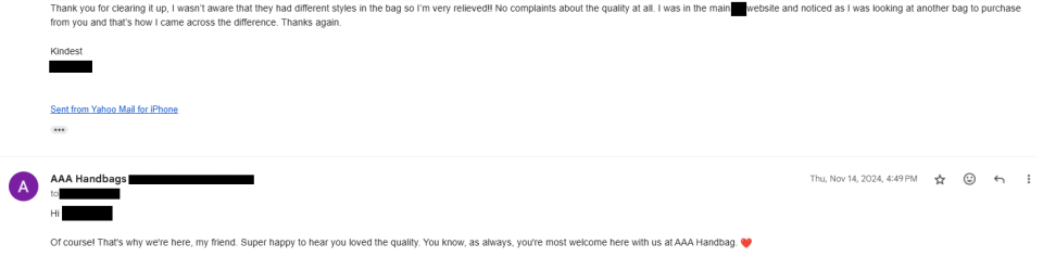 AAA Purse Verified Customer Review 9