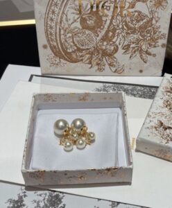 Dior Tribales Earrings Golden-2.jpg