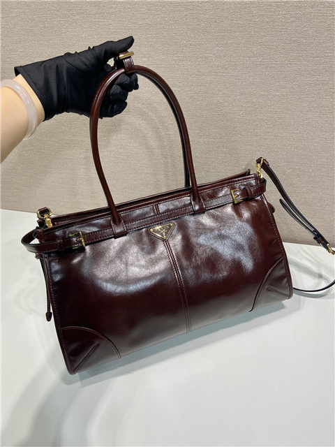 Prada Bonnie Large 1BA433 Dark Brown-3.jpg