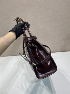 Prada Bonnie Large 1BA433 Dark Brown-5.jpg