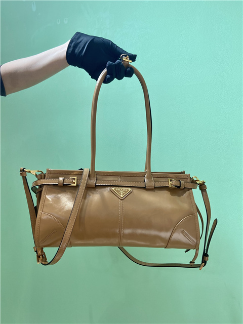 Prada Bonnie Medium 1BA426 Cameo-1.jpg