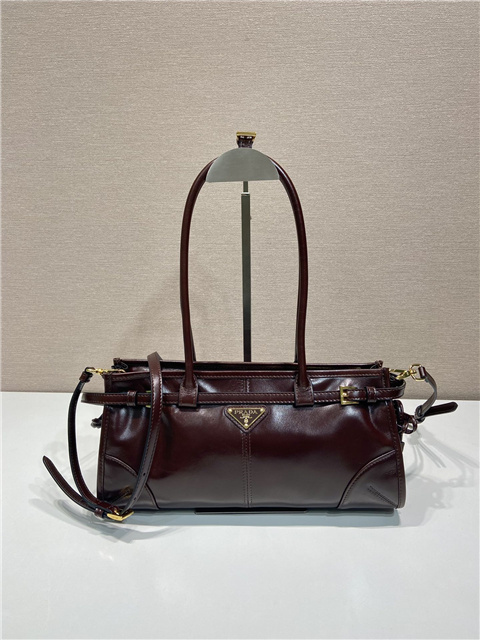 Prada Bonnie Medium 1BA426 Dark Brown-2.jpg
